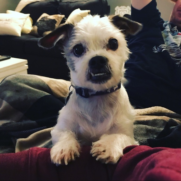 Meet your Posher, Joleen - Picture 5 of 10